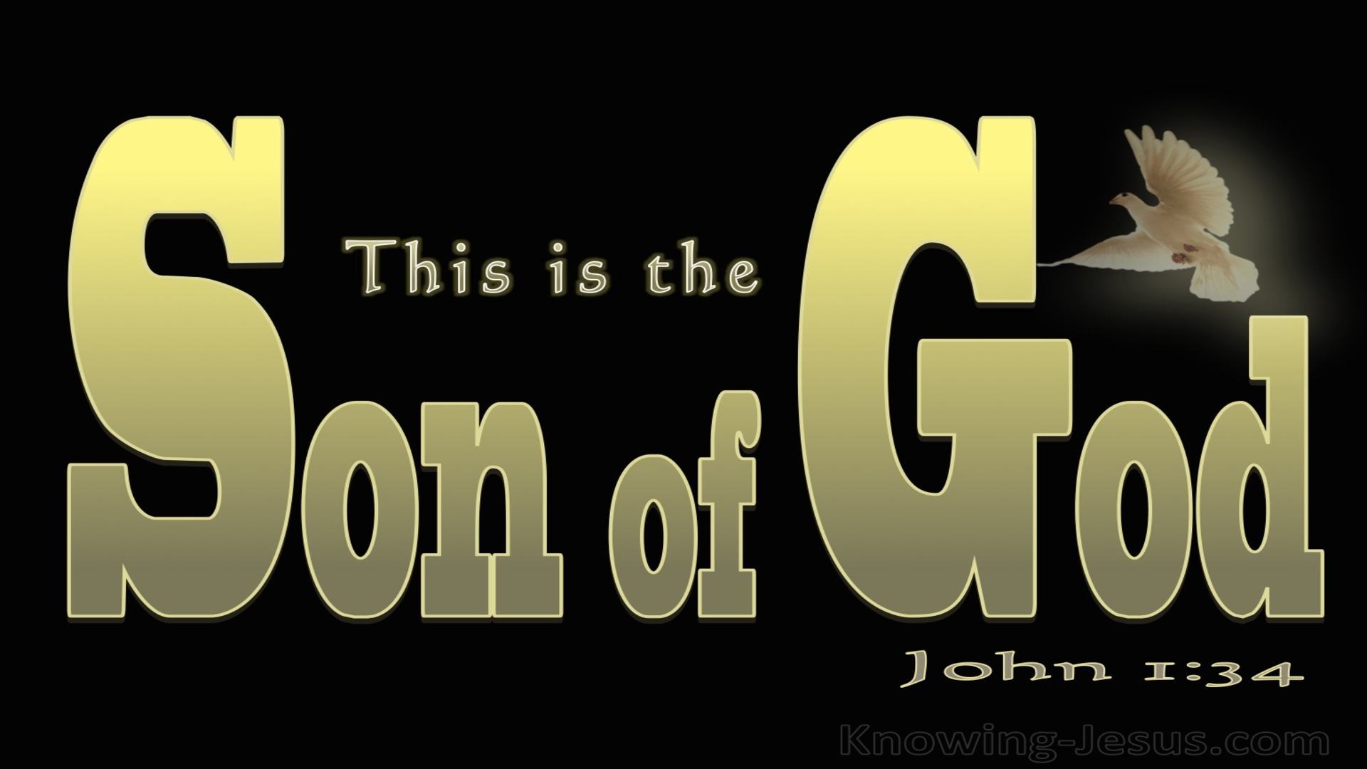 John 1:34 This Is The Son Of God (gold)